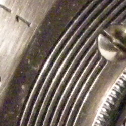 Nikon Coolpix P5100: trpělivý profesionál