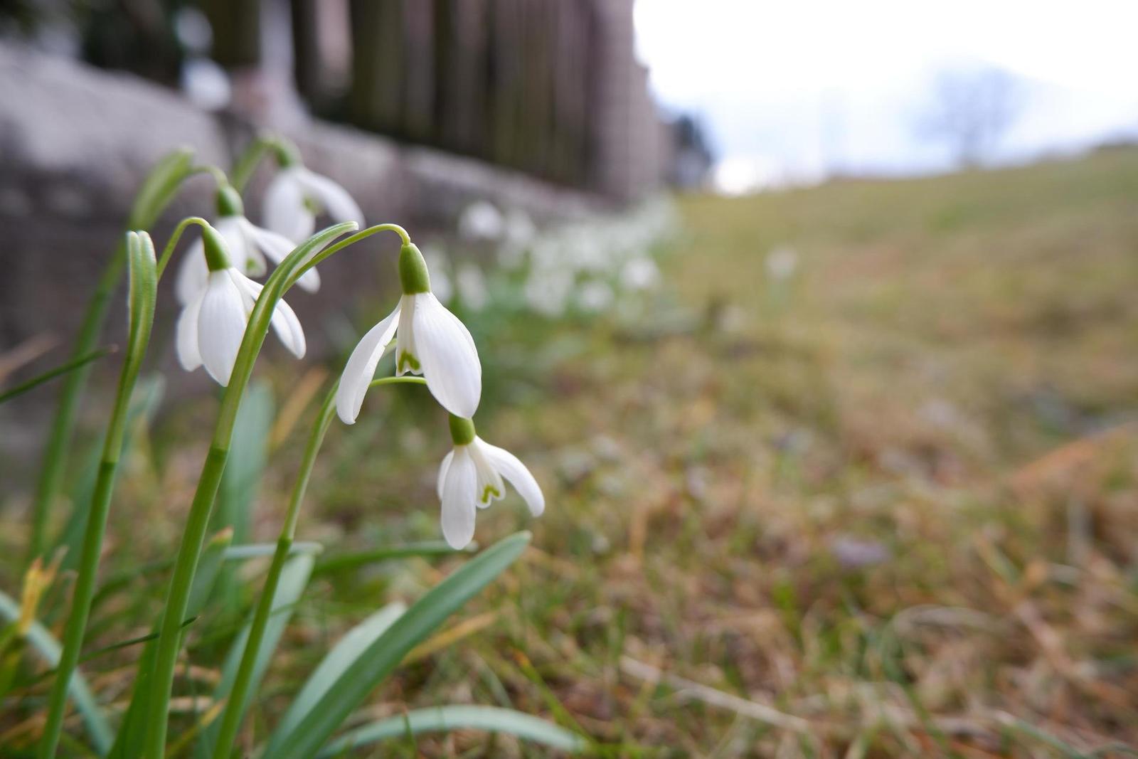 Fujinon XC 15-45mm 1:3.5-5.6 OIS PZ