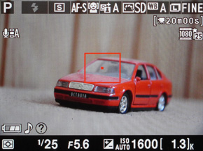 Nikon D5100: jeden z nejlepších?