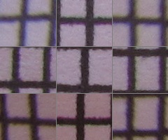 Canon PowerShot G11: géčko, o jakém jsme snili