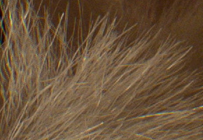 Samsung NX300: spousta kroků vpřed, jeden vzad