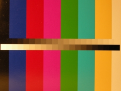 Nikon Coolpix P5100: trpělivý profesionál