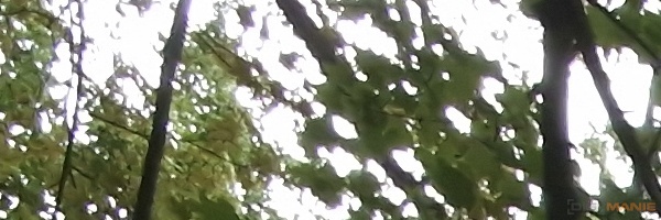 Samsung Galaxy S22 Ultra: pětioký fotografický král?