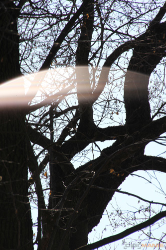 Megatest ultrazoomových objektivů