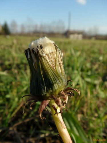 Samsung ST1000: nabitý technologiemi