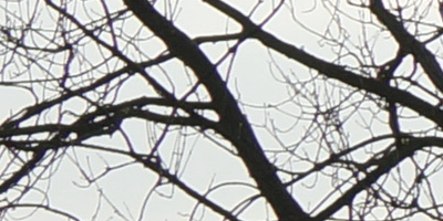 Sony SAL-70400G (70-400mm F4-5,6 SSM G)