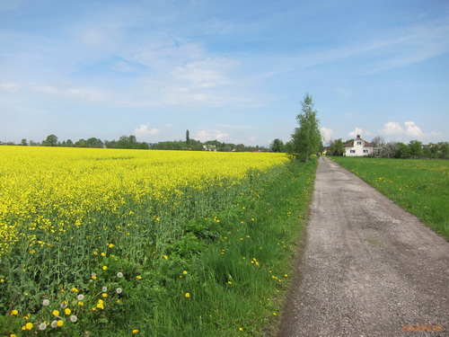 Canon PowerShot S90: malý zázrak