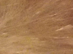 Olympus XZ-1: trefa do černého