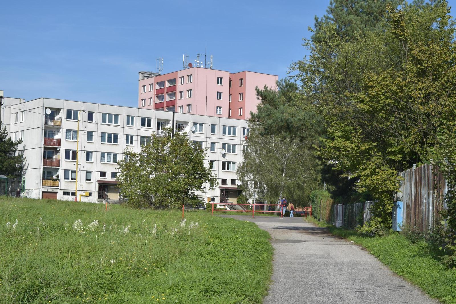 Nikon D3300: drobek se silným srdcem