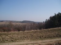 Olympus Camedia C-470 Zoom: Americký D-590