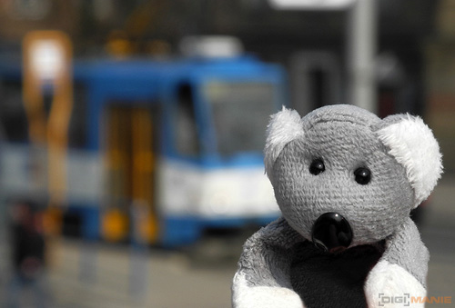 Fotíme s Koalou: Ostření