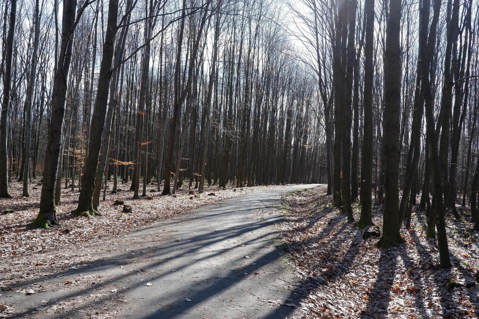 Fujinon XF 23mm F2 R WR