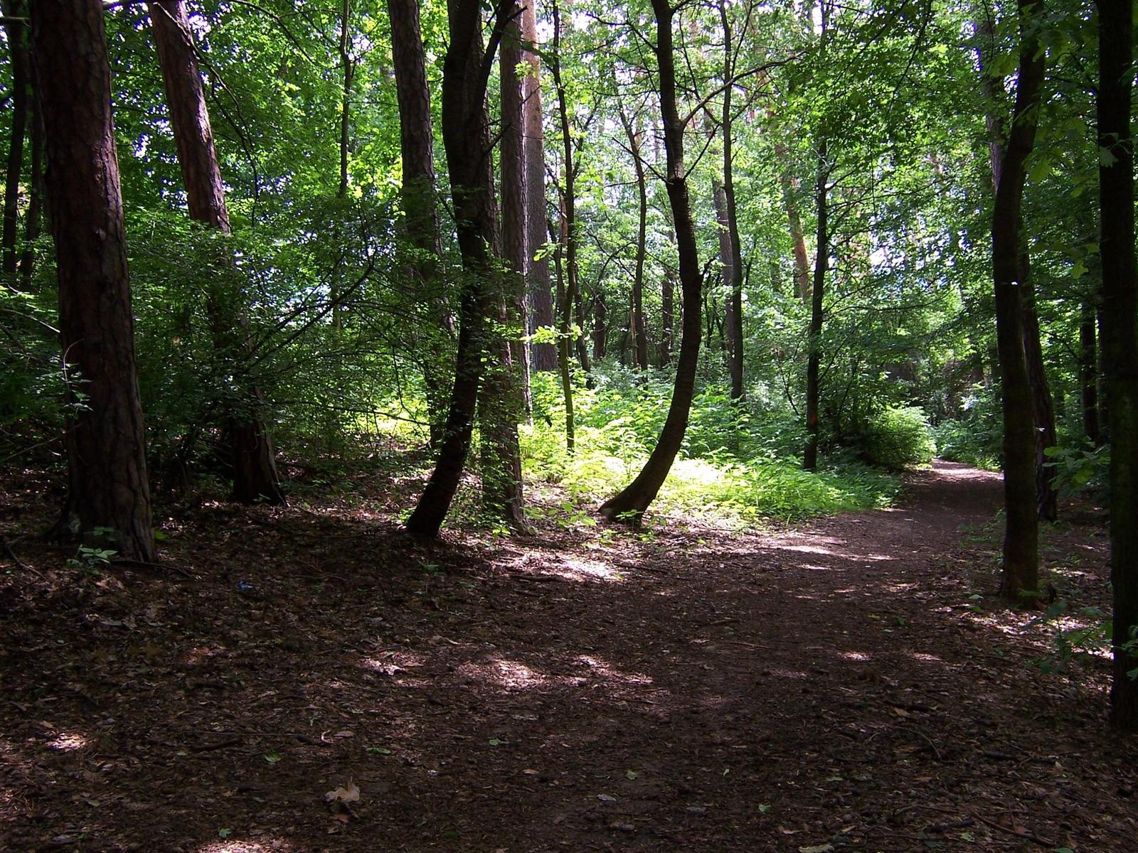 Kodak EasyShare DX7440: Elegantní a šikovný