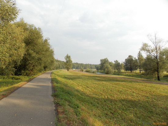 Nikon Coolpix L810: pro nenáročné