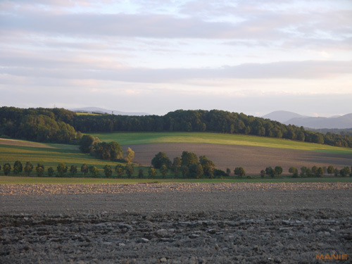 Panasonic Lumix G2: král ergonomie