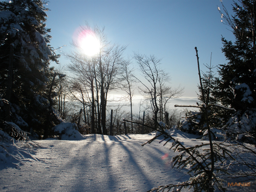 Olympus FE-370: stabilní zoom za hubičku