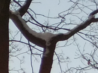 Fujifilm FinePix F300EXR: klame tělem