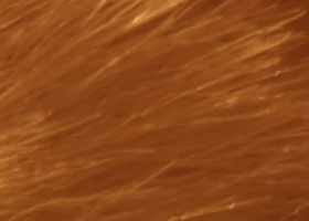 Sony Alpha SLT-A35: úspěšně proti zrcadlovkám