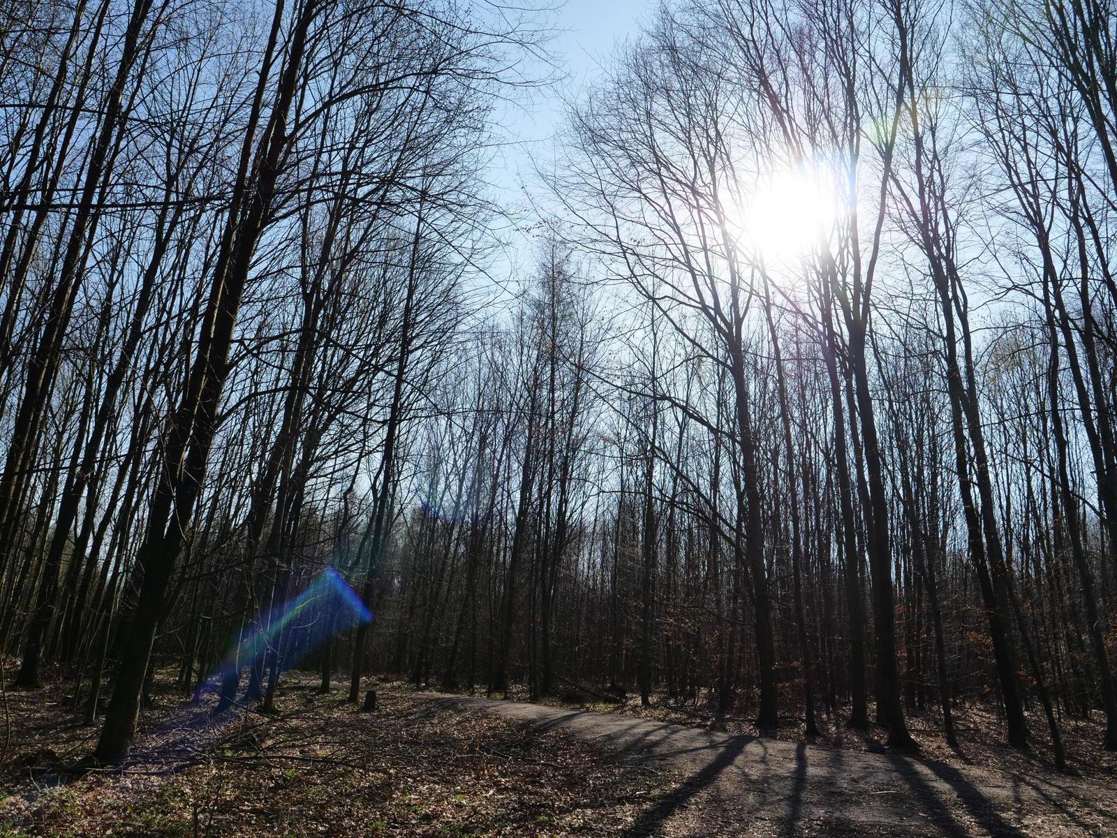 Panasonic Leica DG Vario-Elmarit 12-60mm / F2.8-4.0 ASPH. / Power O.I.S.