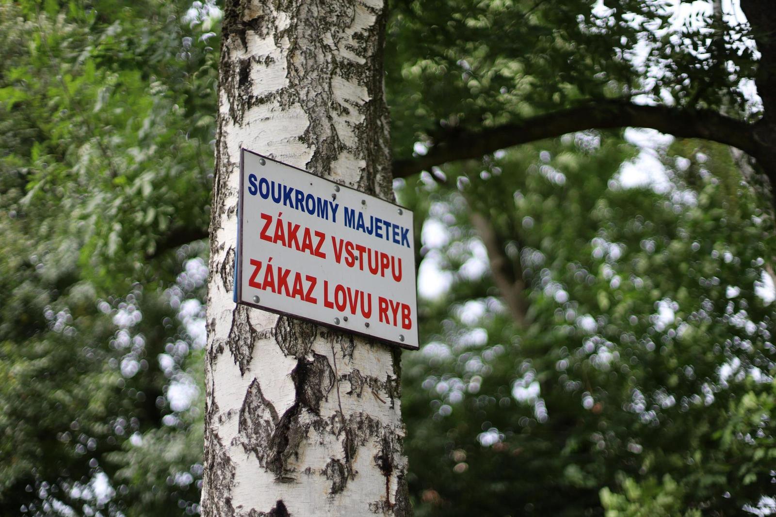 Canon EF 50mm f/1.4 USM