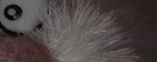 Nokia 808 PureView: mobilní zrcadlovkobijec