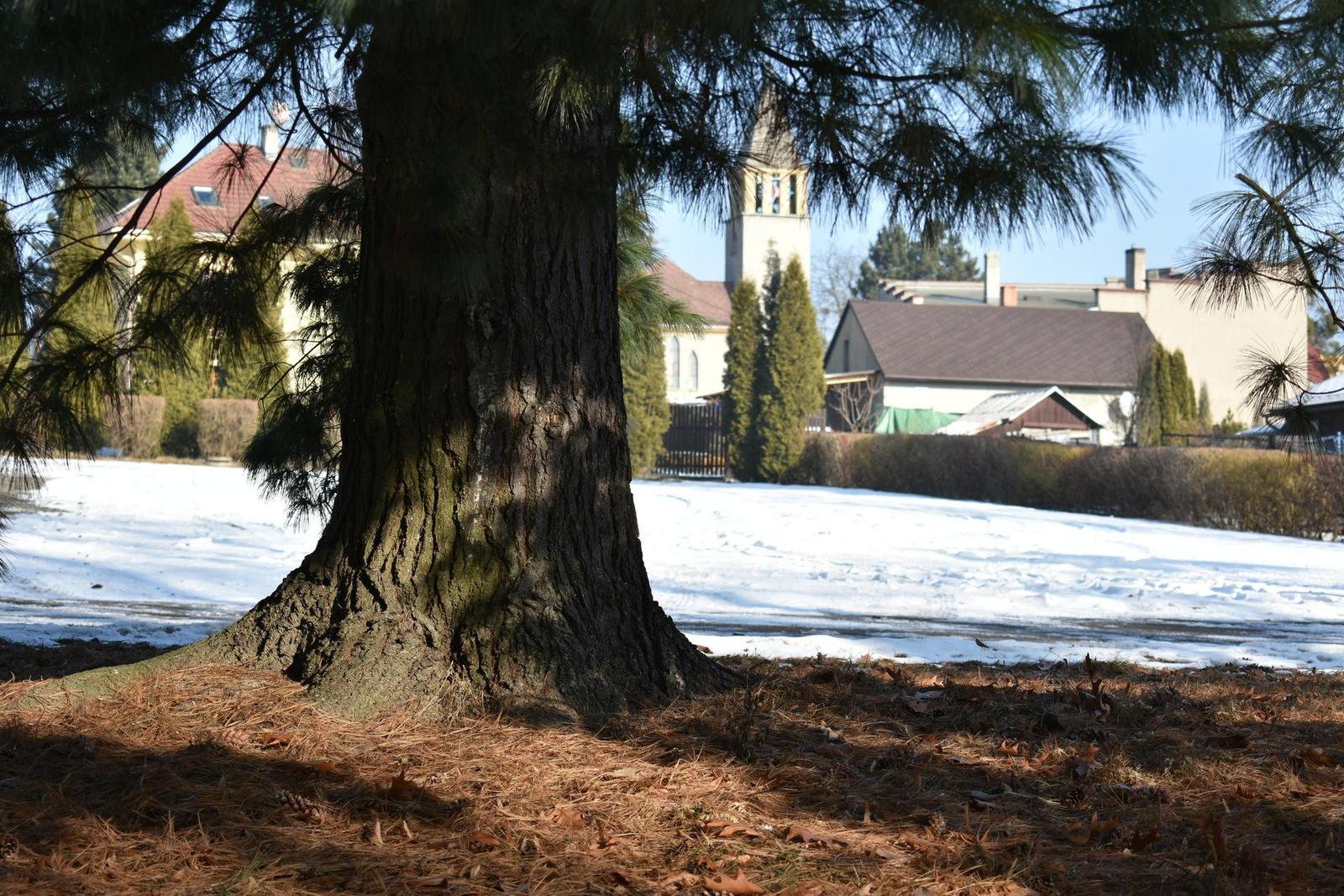 Nikon AF-P NIKKOR 18-55mm f/3.5-5.6G VR