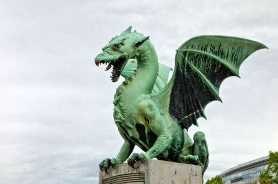 Koala cestuje: Slovinsko 1. díl (Maribor a Lublaň)