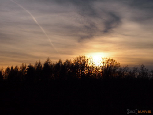 Olympus M.Zuiko Digital 45mm 1:1.8