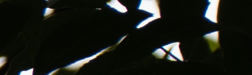 Panasonic Lumix S Pro 70-200mm F4 O.I.S.