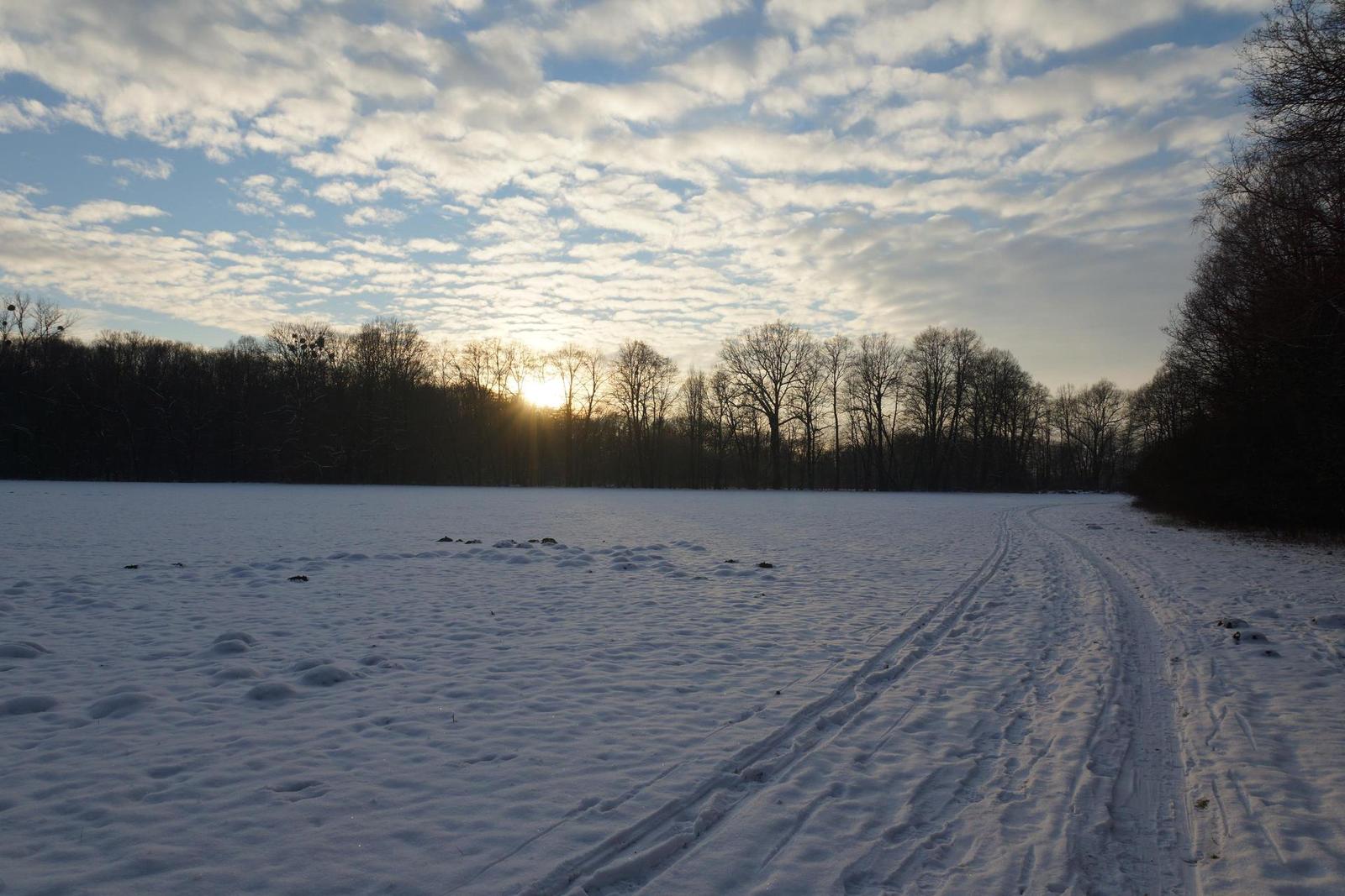 Sony DT 16-50mm F2.8 SSM