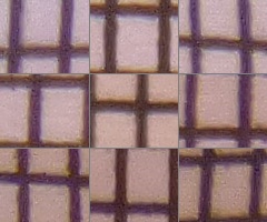 Panasonic Lumix TZ30: pokračovatel slavného rodu?