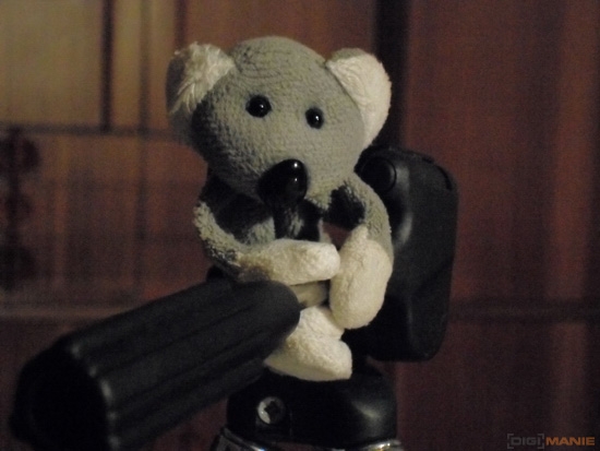 Fotíme s Koalou: Rozlišení a megapixely!