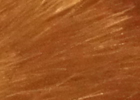 Sony Alpha SLT-A35: úspěšně proti zrcadlovkám