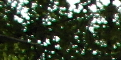 Samsung WB850F: fotící bezdrátová navigace?