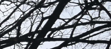 Nikon AF-S DX NIKKOR 16-85mm f/3.5-5.6G ED VR