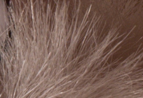 Sony NEX-6: pan dlouho očekávaný