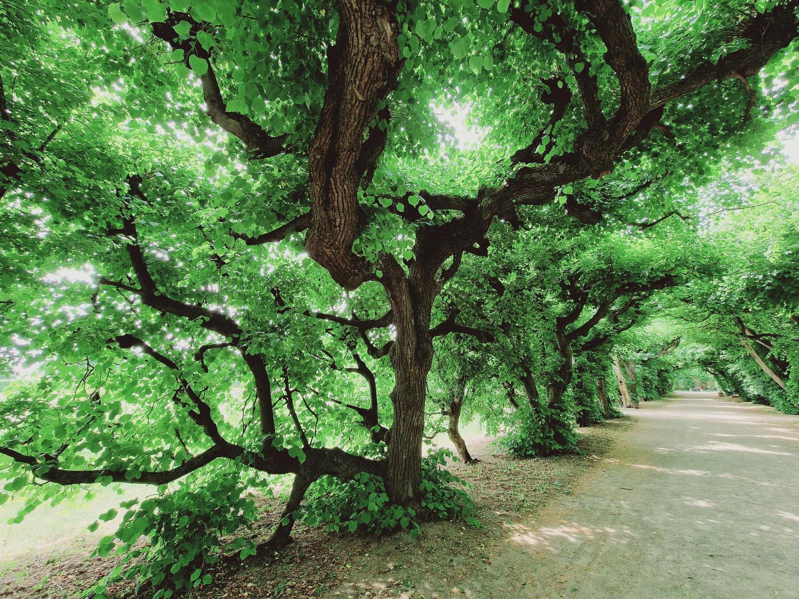 Samsung Galaxy S22 Ultra: pětioký fotografický král?