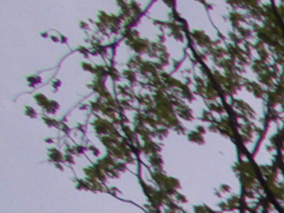 Fujifilm FinePix HS10: ultrazoom roku?