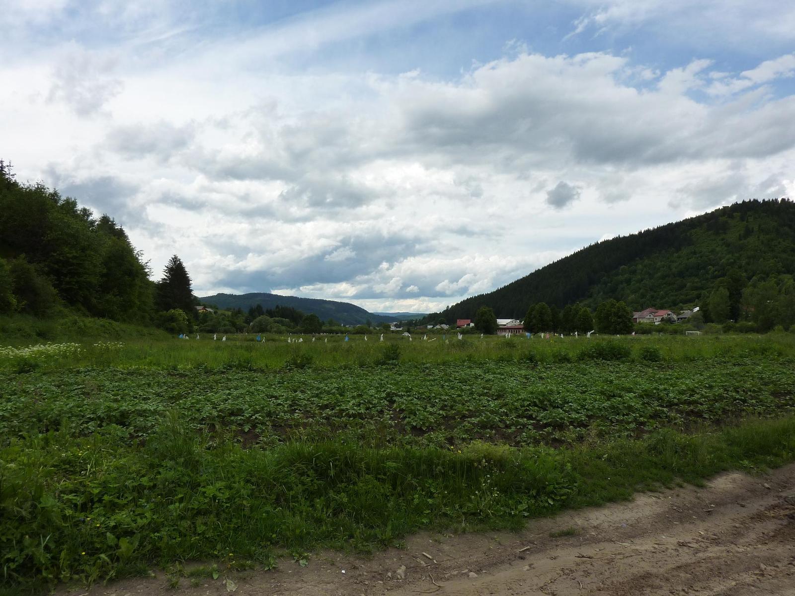 Panasonic Lumix TZ7: ultrazoom téměř bez chybičky