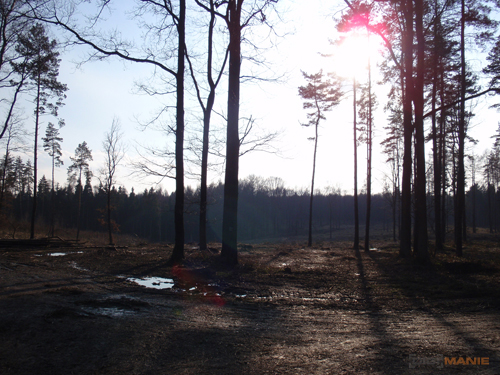 Olympus mju 9000: 10× ultrazoom v kompaktním balení