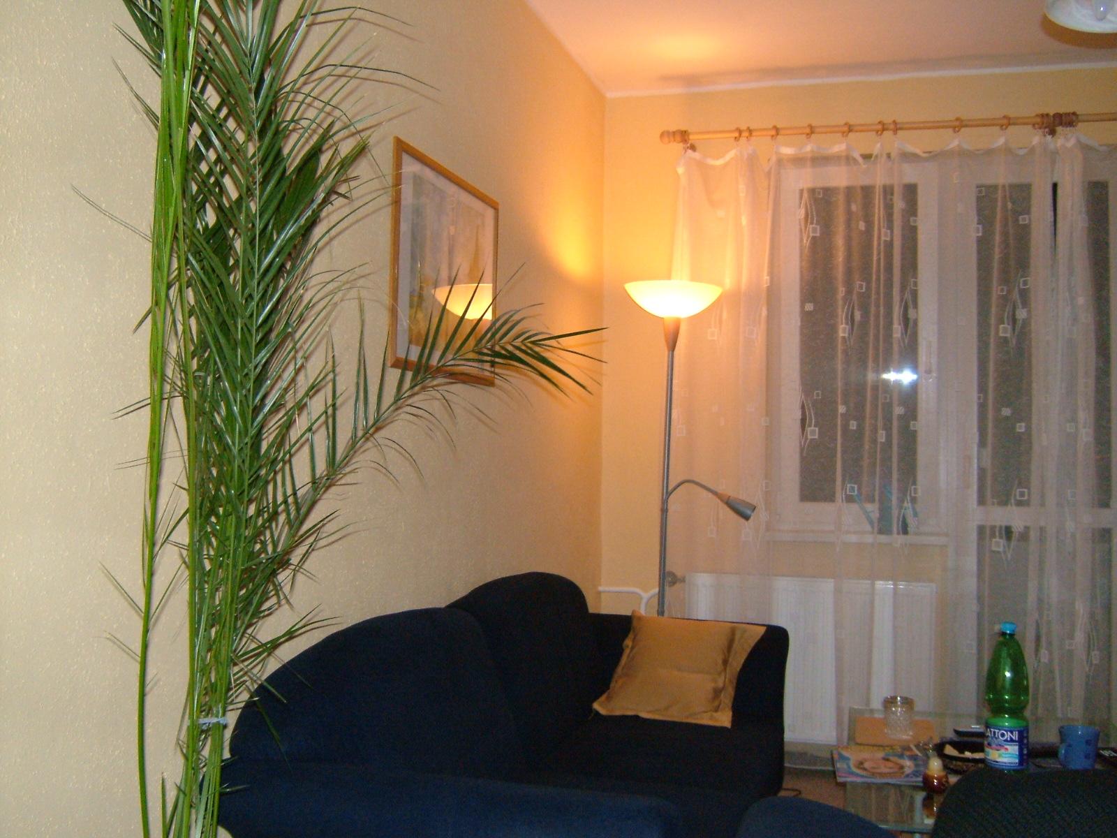 Kompakt se šesti miliony "ve stoje"