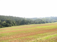 Canon PowerShot S2 IS: dvanáctinásobné oko Canonovo