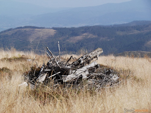 Fujifilm FinePix T200: nejlevnější ultrazoom Fuji