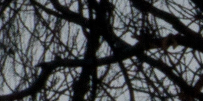 Sony DT 16-50mm F2.8 SSM