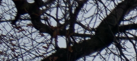 Sony DT 18-55mm 3.5-5.6 SAM II (SAL-1855-2)