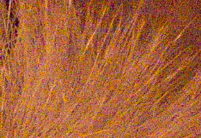 Panasonic Lumix LX7: kompaktní hvězda noci