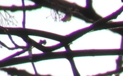 Samsung 18-200mm F3.5-6.3 ED OIS