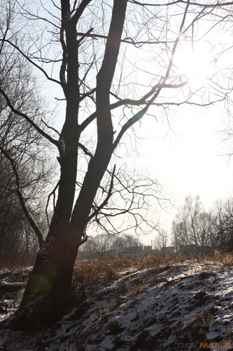 Samyang 35mm F1.4 AS UMC (pro Canon)