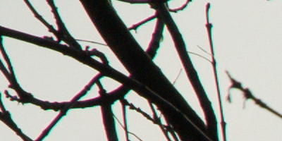 Sony SAL-70400G (70-400mm F4-5,6 SSM G)