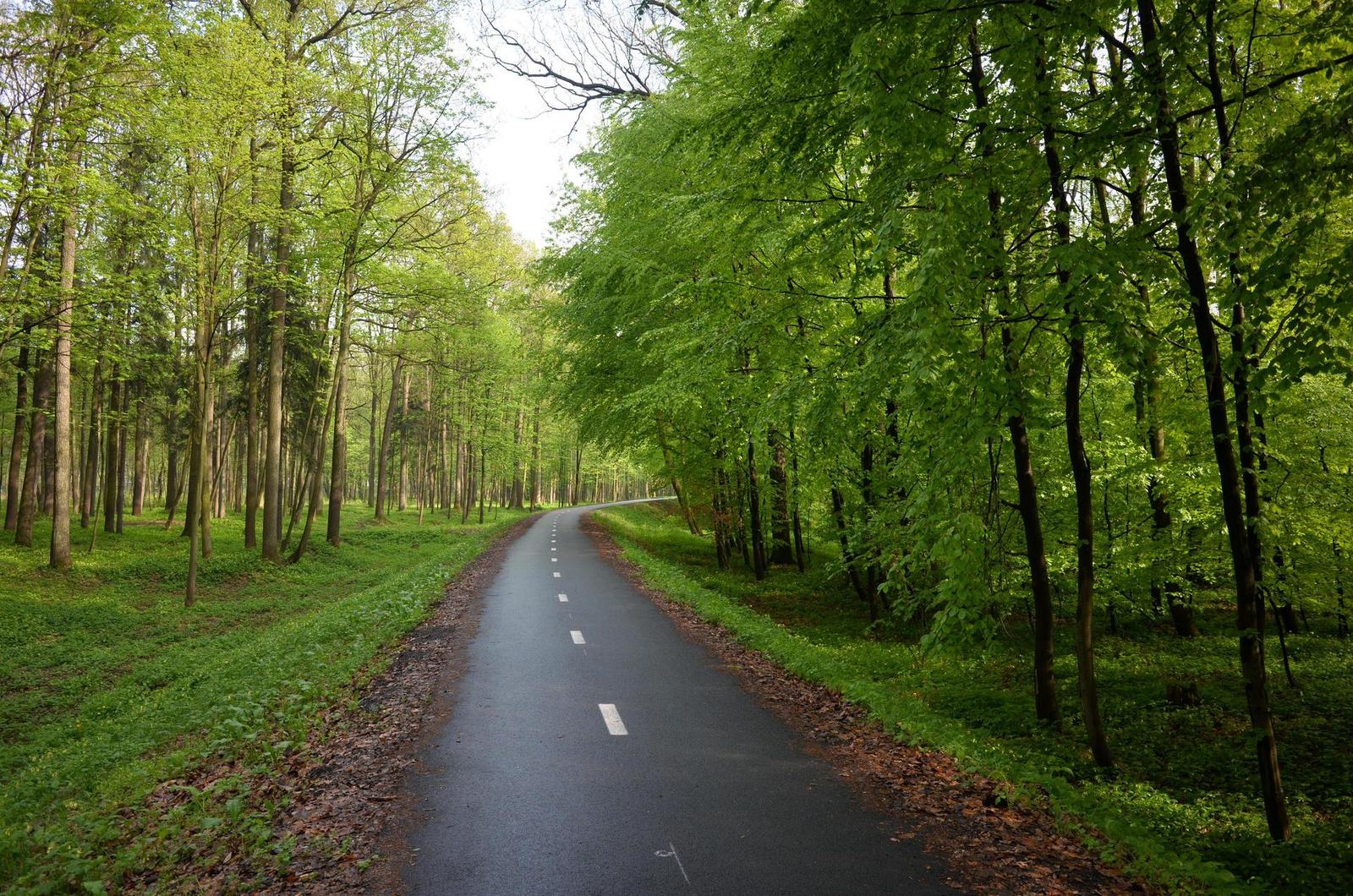 Nikon Coolpix A: velmi příjemná (ne)výraznost